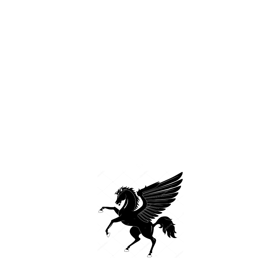 ペガサスジャパンオーナーズクラブ